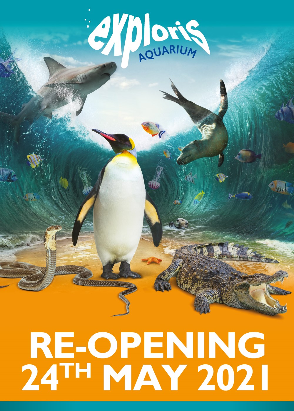 Exploris Aquarium - Home