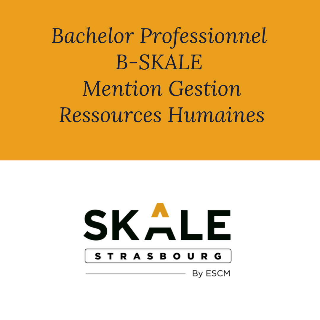 🏫 Skale Strasbourg by ESCM propose un Bachelor Professionnel. Trois ans ...