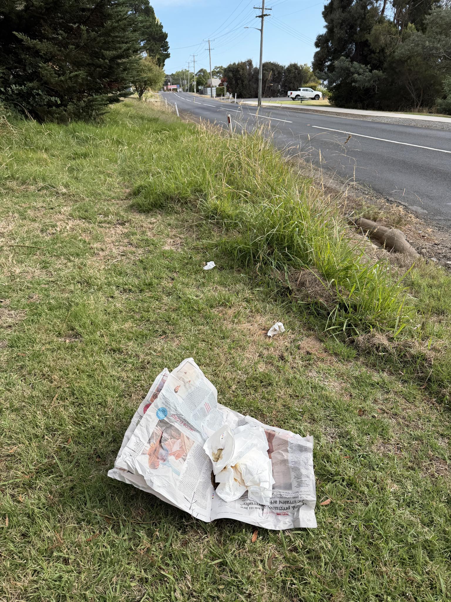 Public defecation on council strip is a health hazard