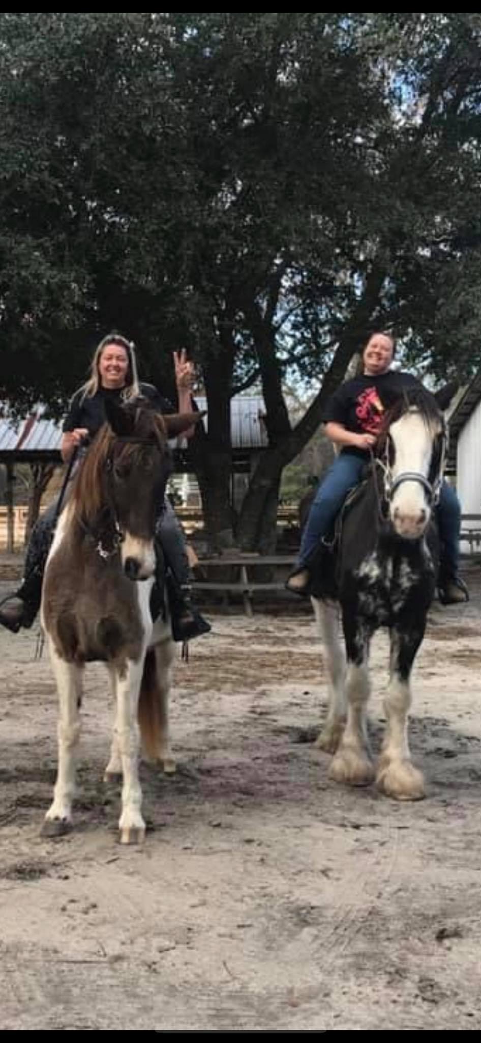 Oetgen Ranch