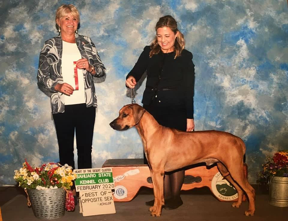 Riparian Rhodesian Ridgebacks
