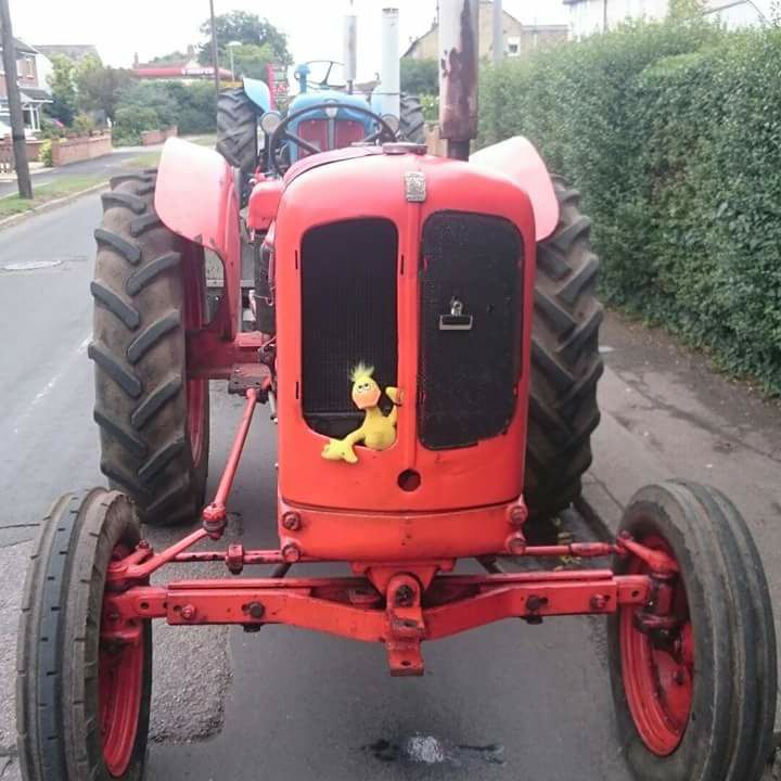 Red Tractor Restorations | Stotfold