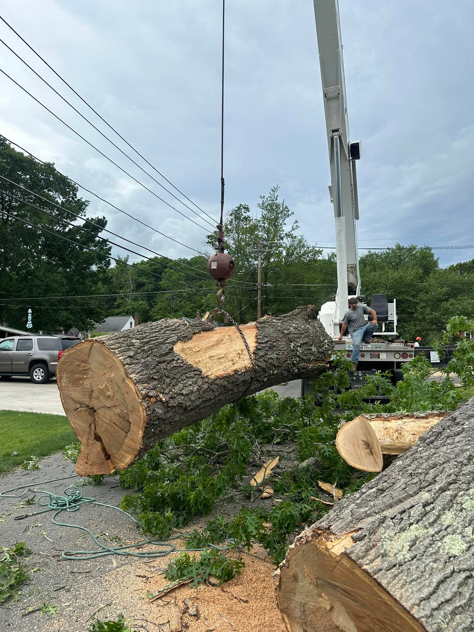Ballston Tree & Property Services | Ballston Spa NY