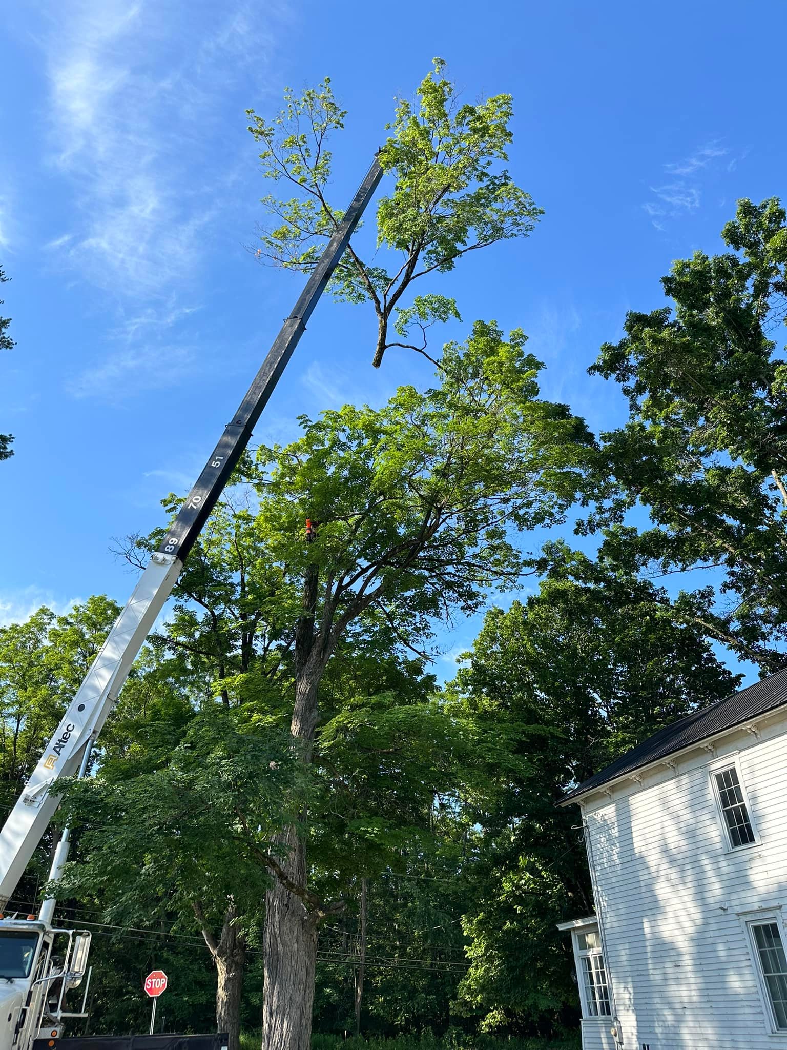 Ballston Tree & Property Services | Ballston Spa NY