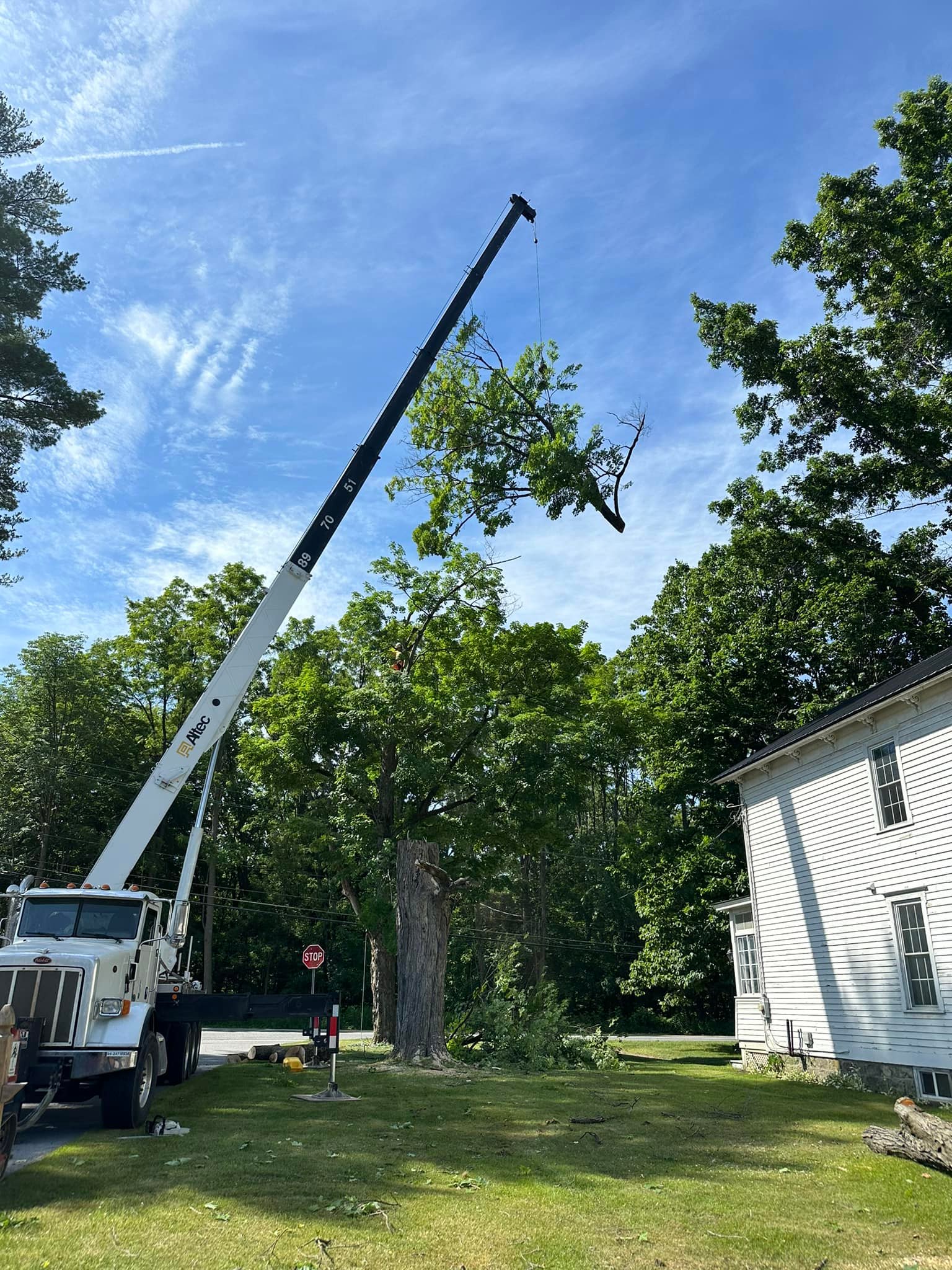 Ballston Tree & Property Services | Ballston Spa NY