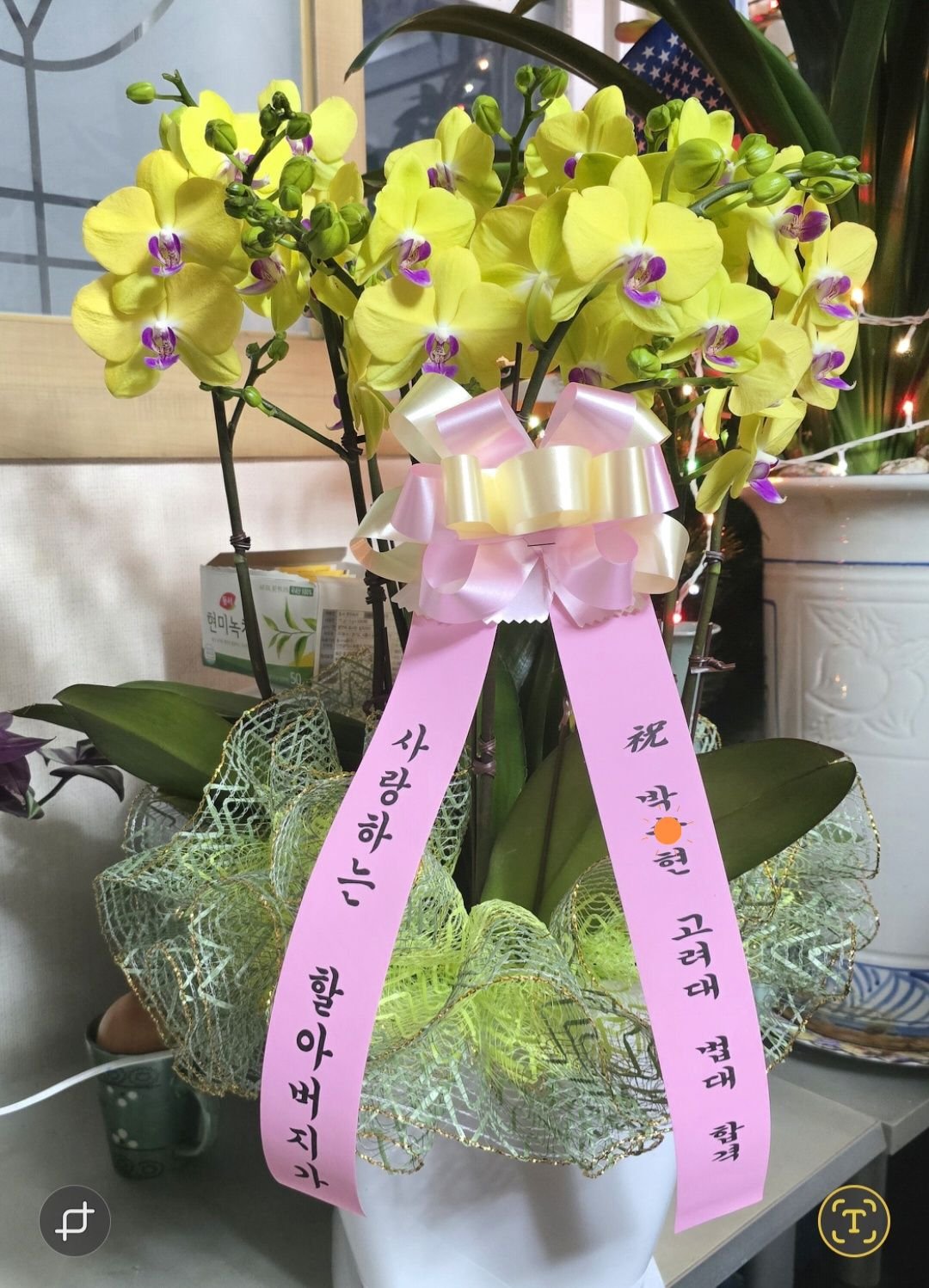 성우 - #손녀 #고려대 #법대 #합격 얼굴도 한번 못본 상태에서 21살에 49년생 동갑 결혼하신 부모님, 어머니는 나의 외가 ...