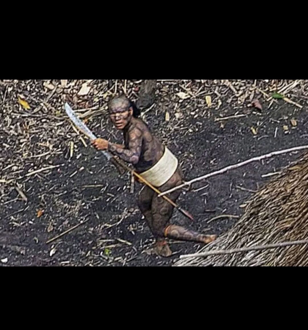 Nicholas - Per 26 anni visse da solo nell’Amazzonia — silenzioso ...