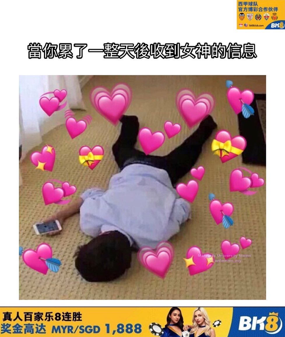 讲鸟话迷迷 Bird Talk Meme - 這個sem要努力讀書！！ (♡ ὅ ὅ )ʃ♡ . . 荣誉赞助【BK8】你的未来，就是现在 ...