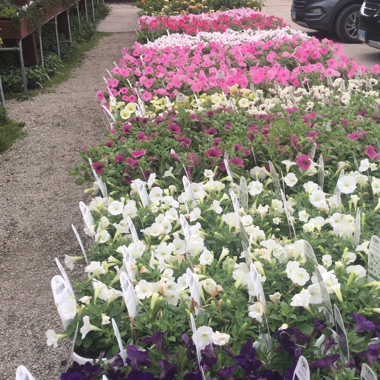 Sitemapcdatahttpautocellcare1comvern Goers Greenhouse Incnull