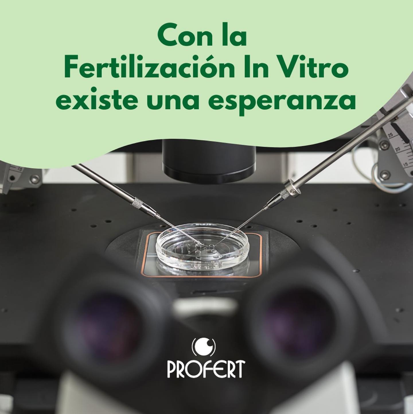Profert - El objetivo de la Fecundación In Vitro es el... | Facebook