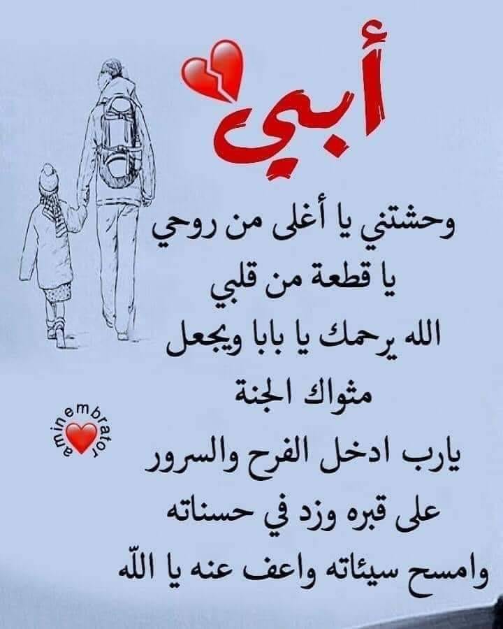القلب يعشق كل جميل كلمات