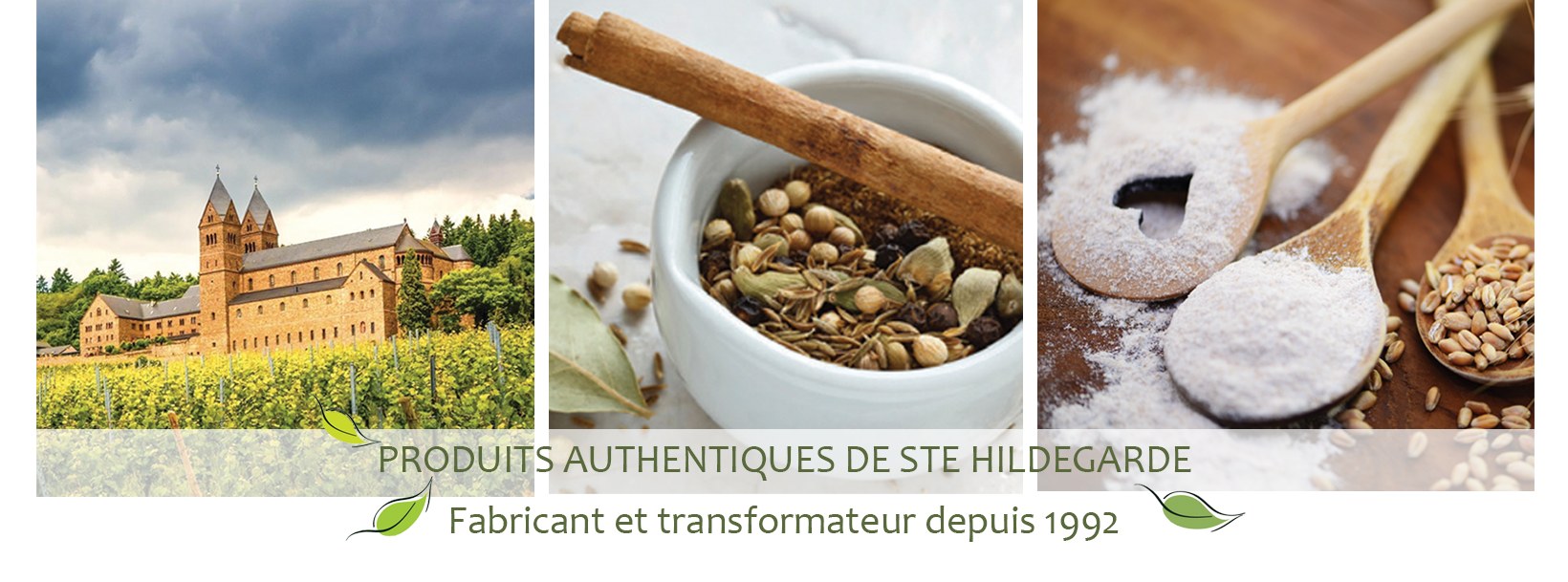 Les Jardins De Sainte Hildegarde Bon De Commande