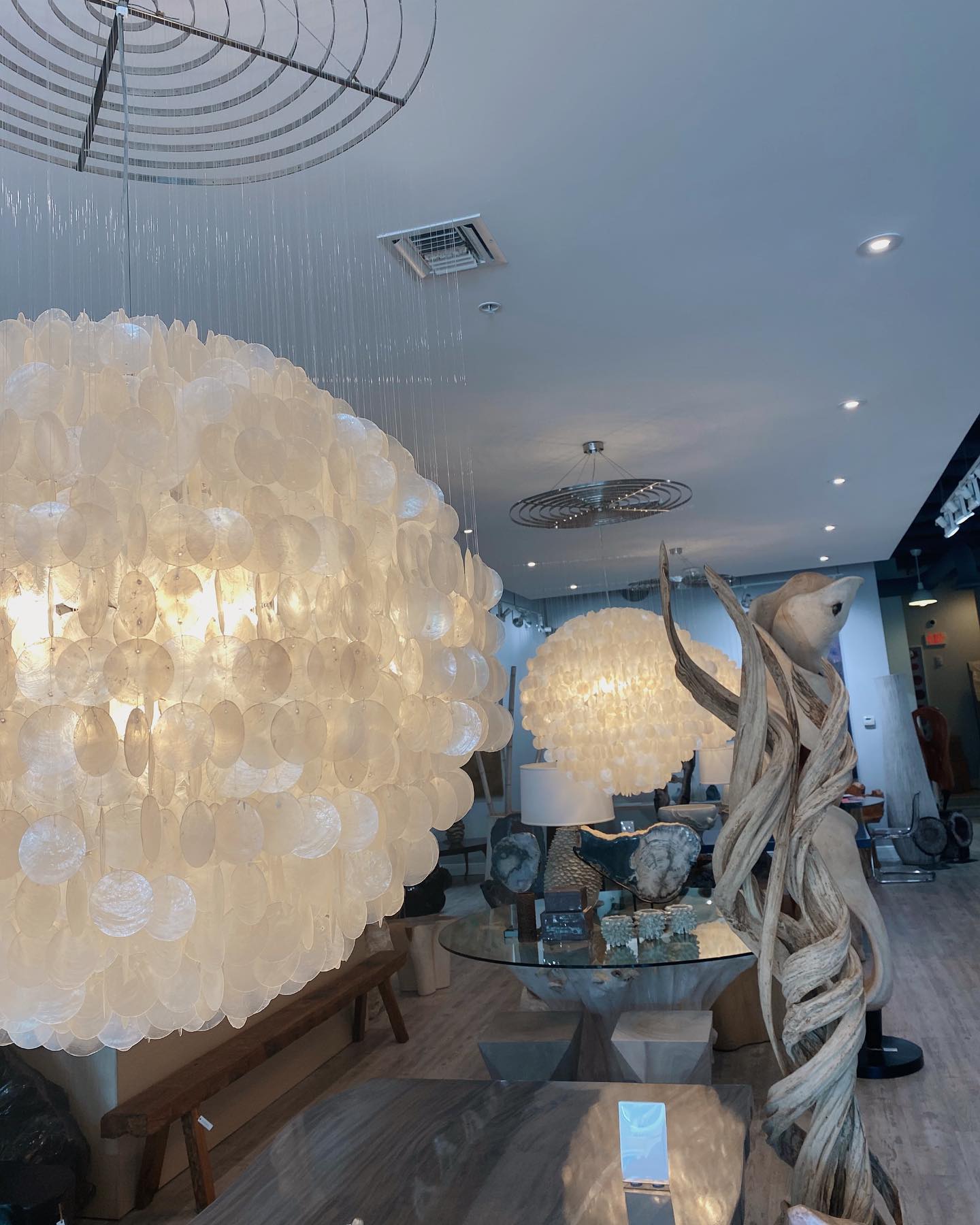 Cocoon | Greenwich CT