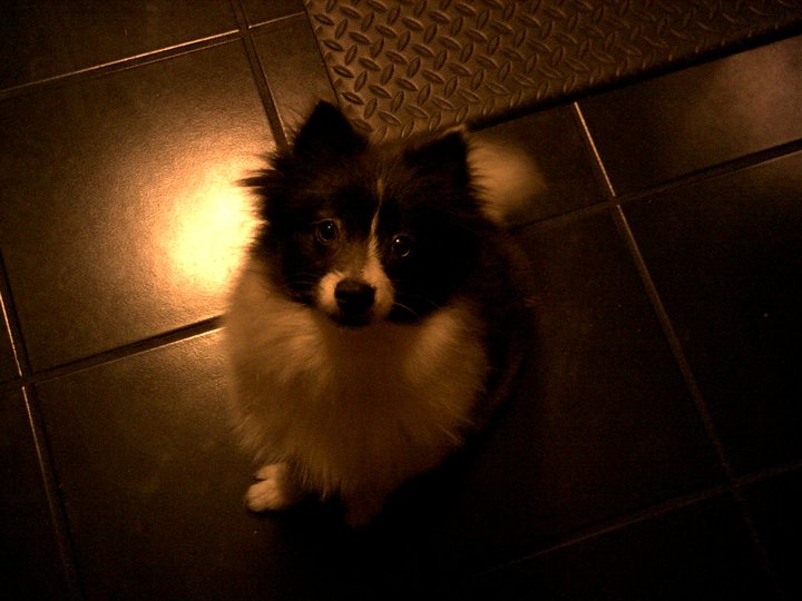 Ted-Dot LaBrecque