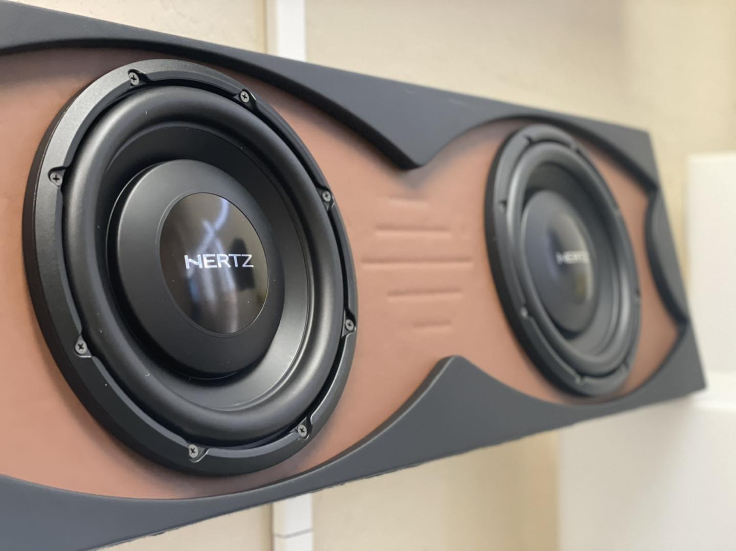 Audio Edge - Custom enclosure we built and upholstered for two Hertz ...