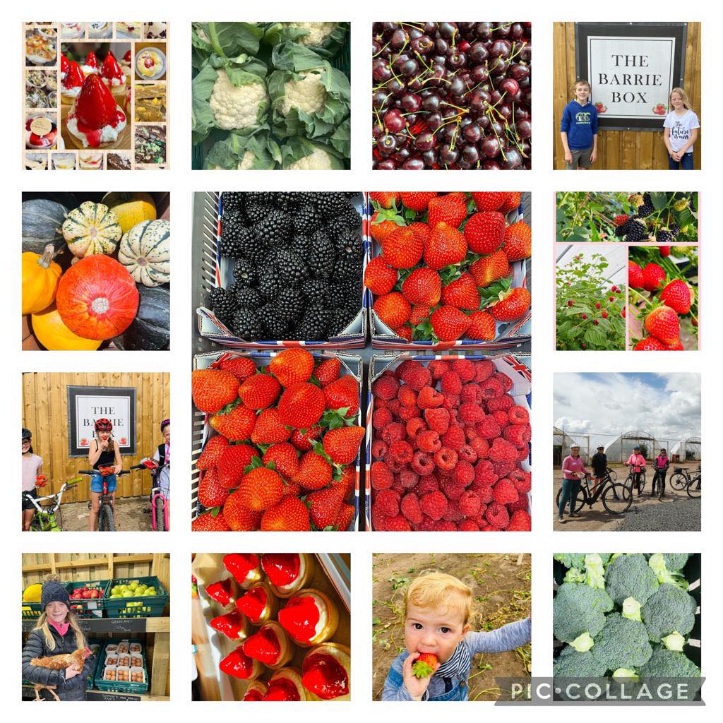 Our fruit season is coming to a... - The Barrie Box Farm Shop | Facebook