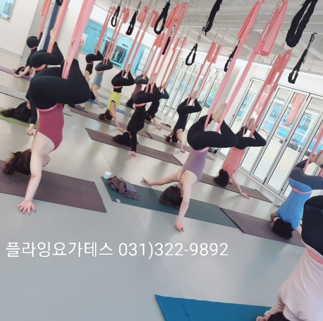 플라잉요가테스