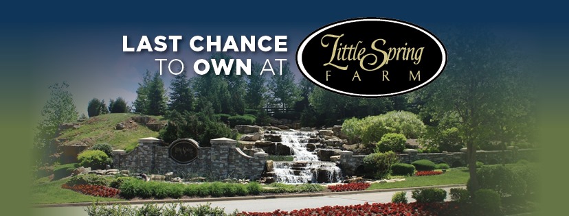 Little Spring Farm | Louisville KY