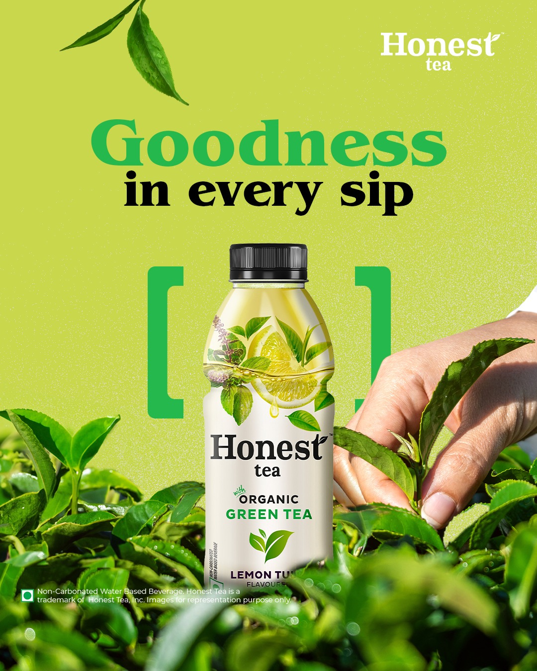 Honest Tea India