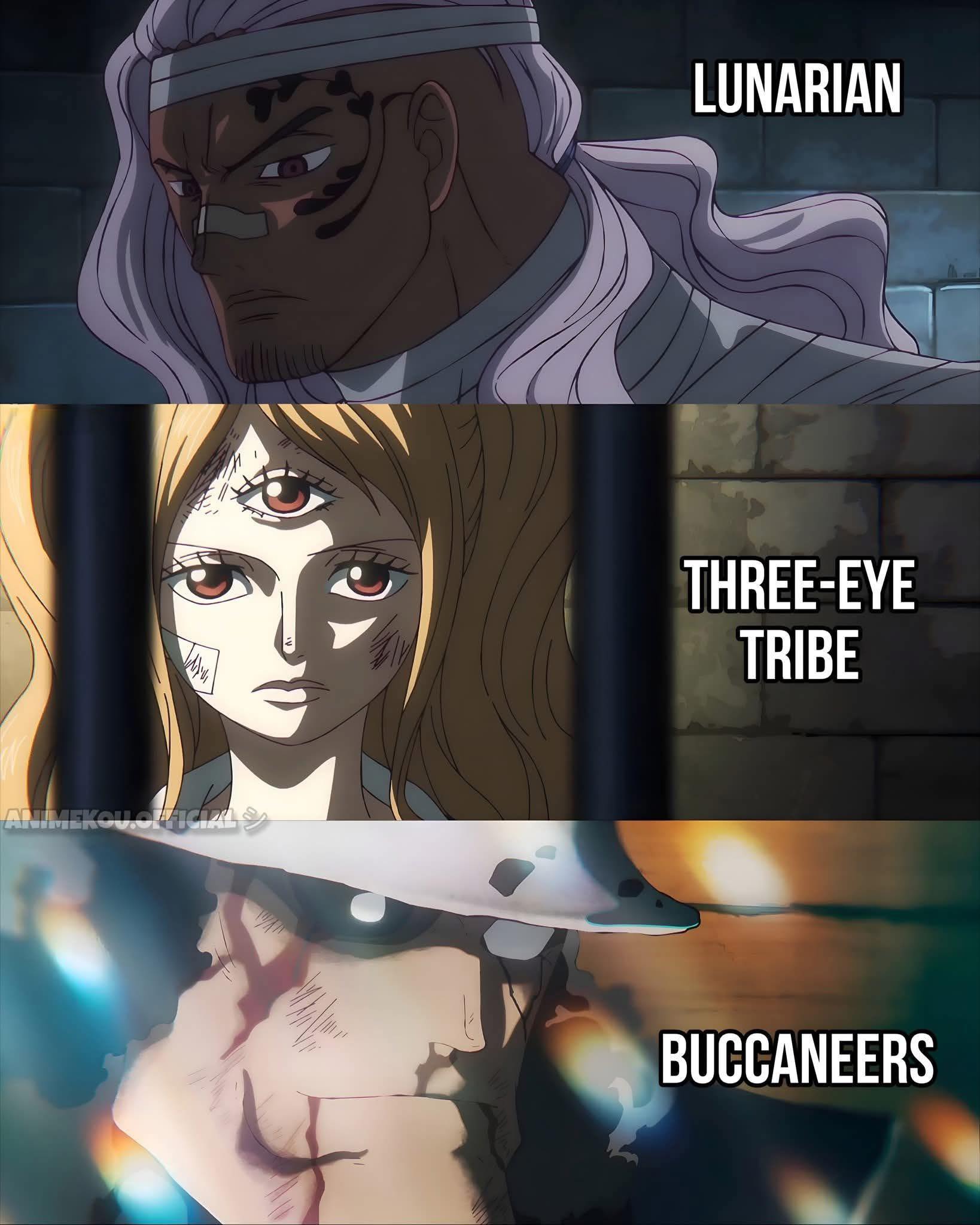 One Piece - Two Million Fans | Races that have only 1 remaining member ...