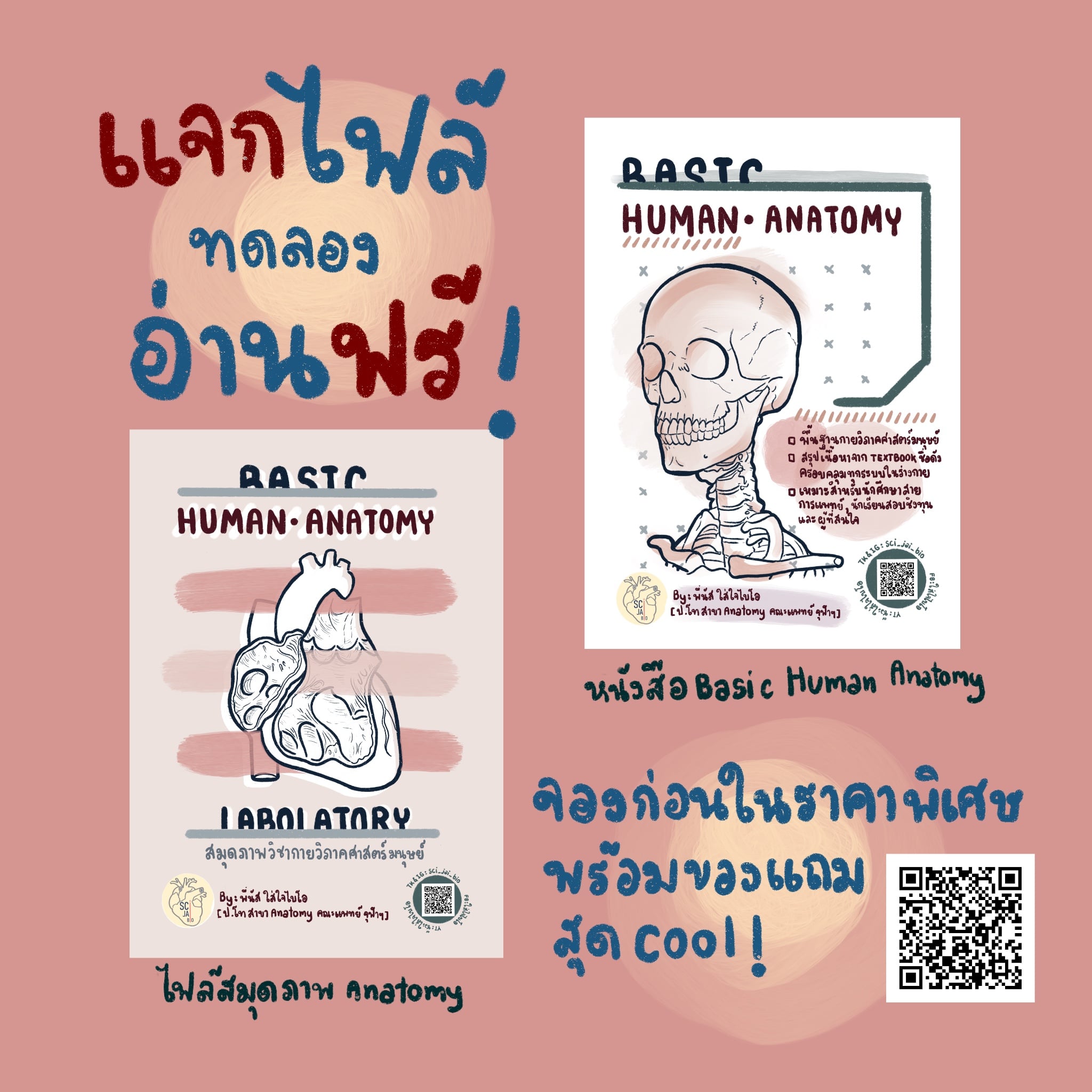ใส่ใจไบโอ - ไฟล์สมุดภาพ anatomy laboratory https://drive.google.com ...