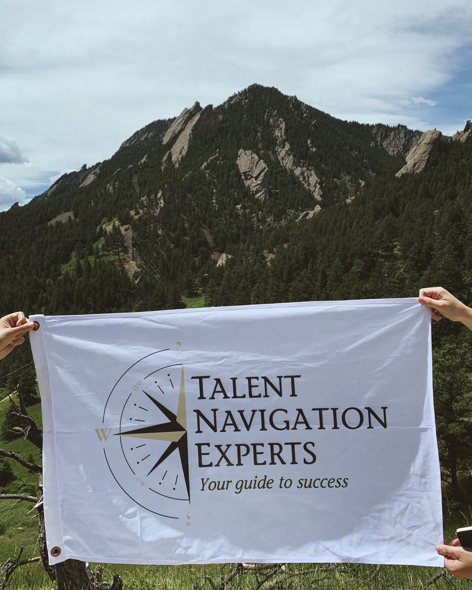 Our team is looking for top... - Talent Navigation Experts