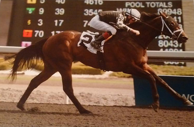 GG Racing Stables