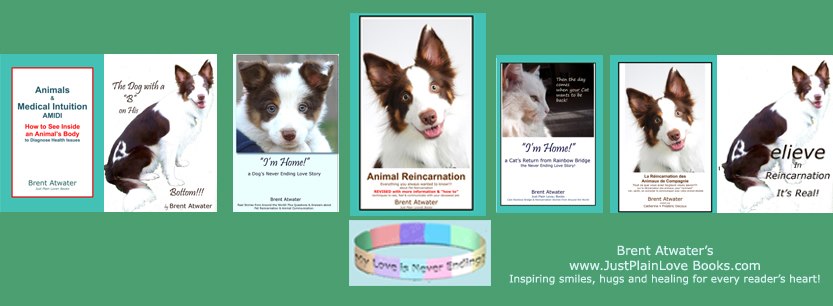 Animals Life After Death Pet Loss & Reincarnation