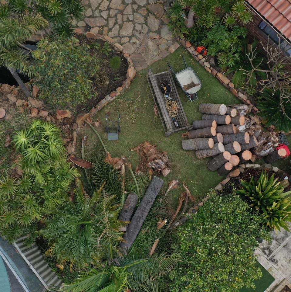 All Tree Works QLD | Bundaberg QLD