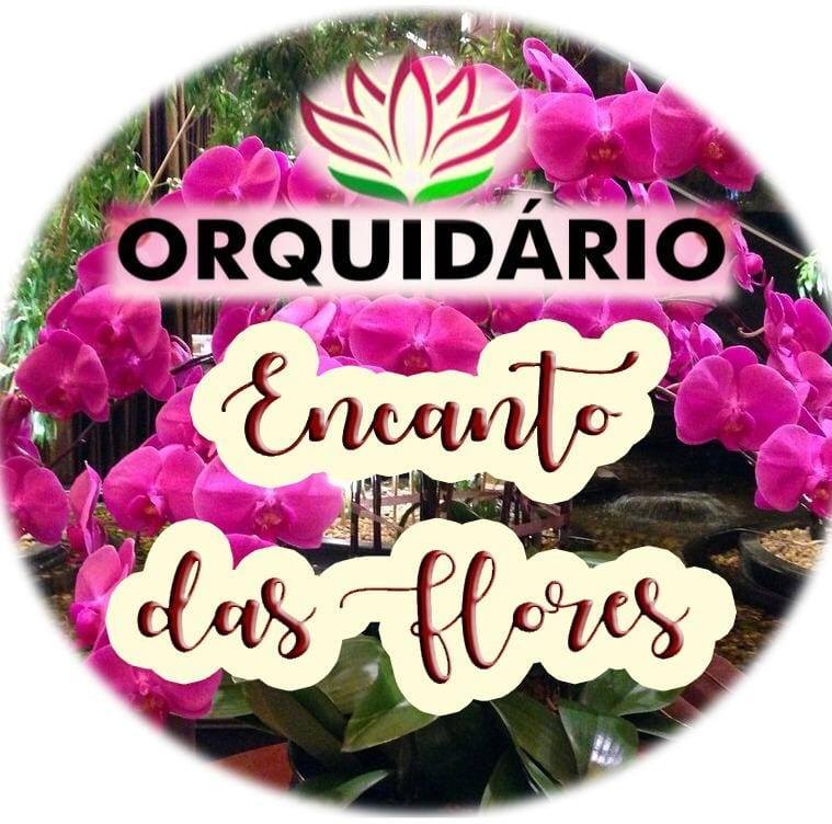 Orquidario Encanto das... - Orquidario Encanto das Flores