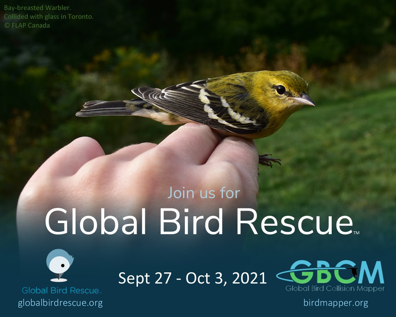 Birds Canada - You can help save the world’s birds! Join... | Facebook