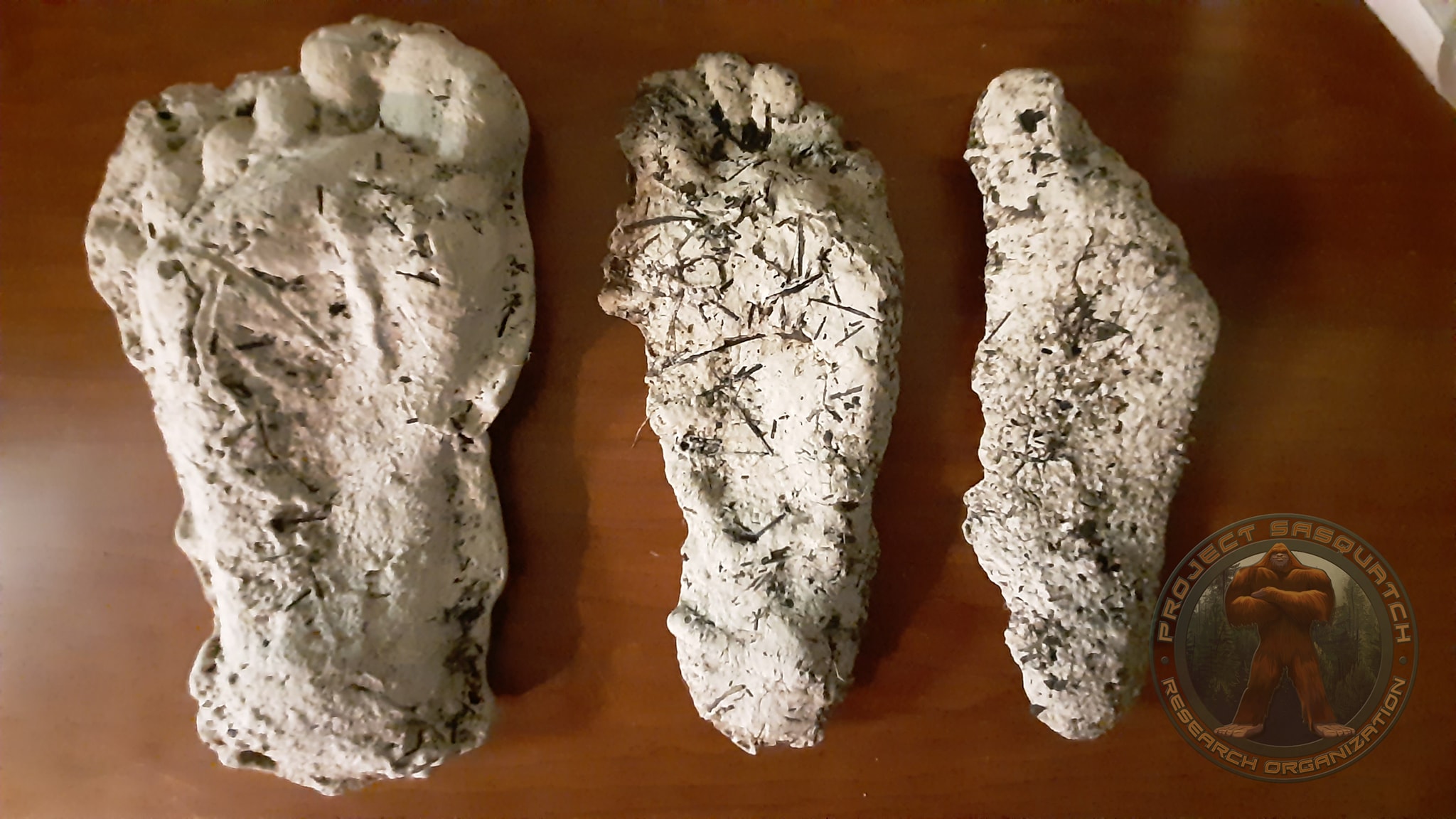 魚里／FOOTPRINTS World's oldest animal footprints have been