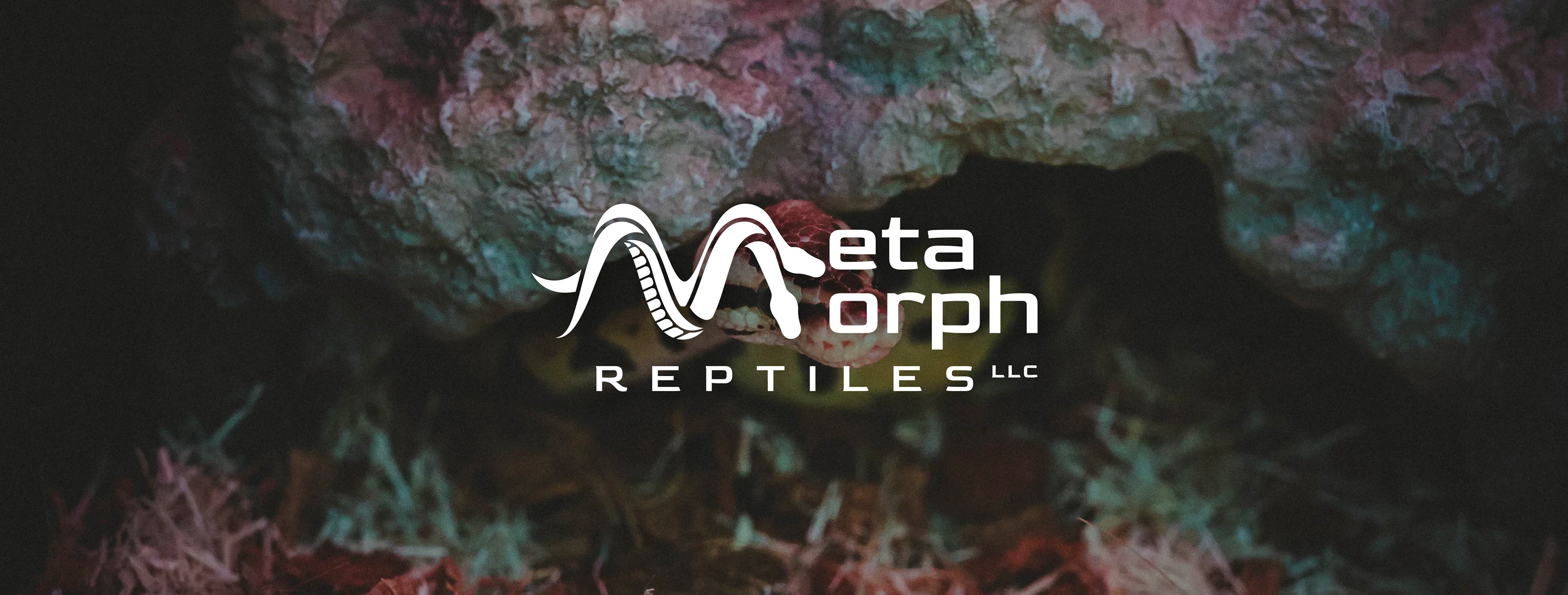 MetaMorph Reptiles LLC