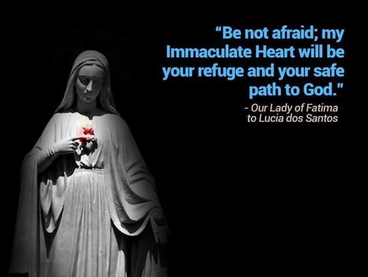 World Apostolate of Fatima Blue Army