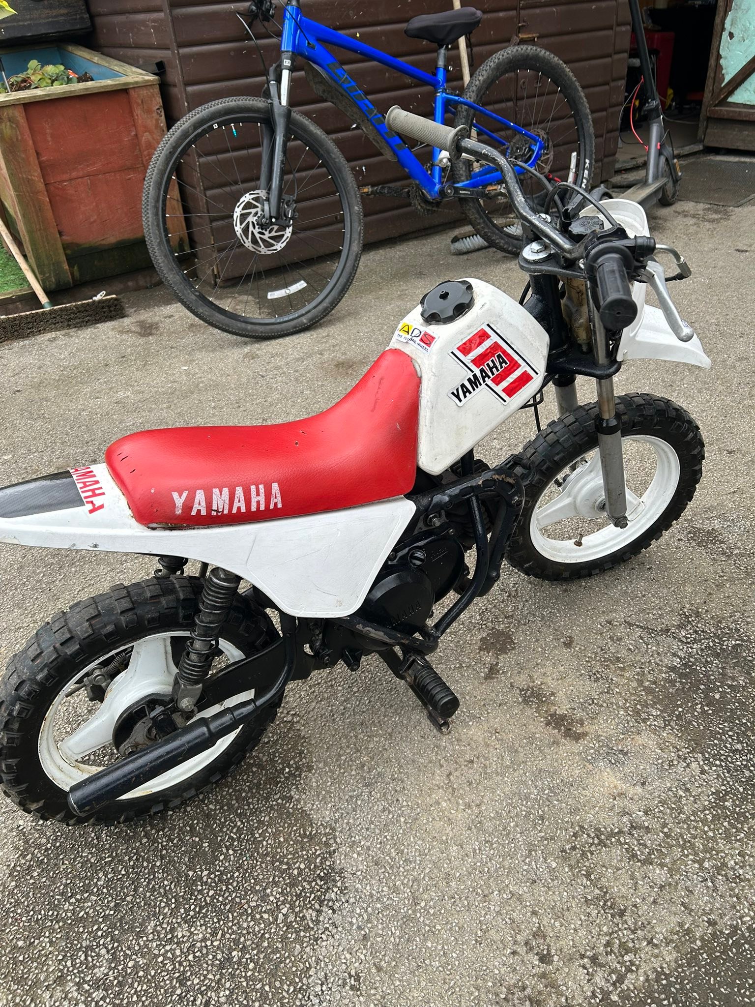 1983 pw50 runs mint message me for price