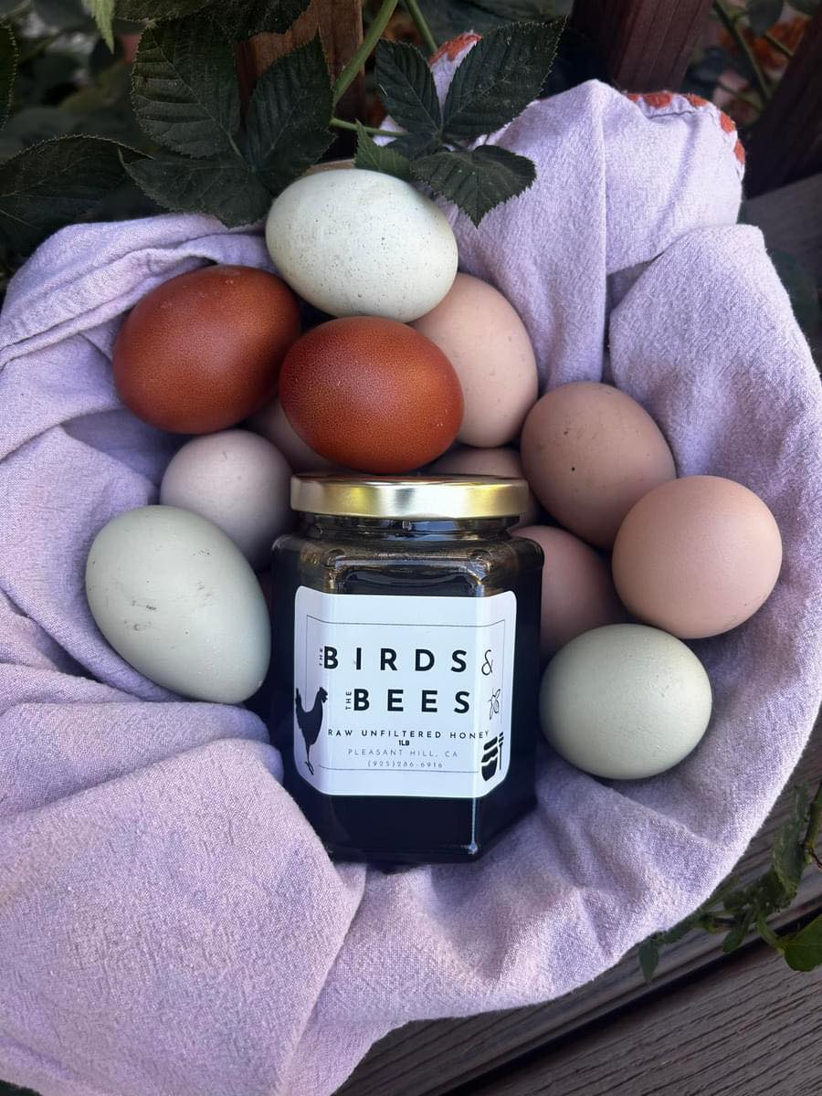 The Birds & The Bees | Pleasant Hill CA