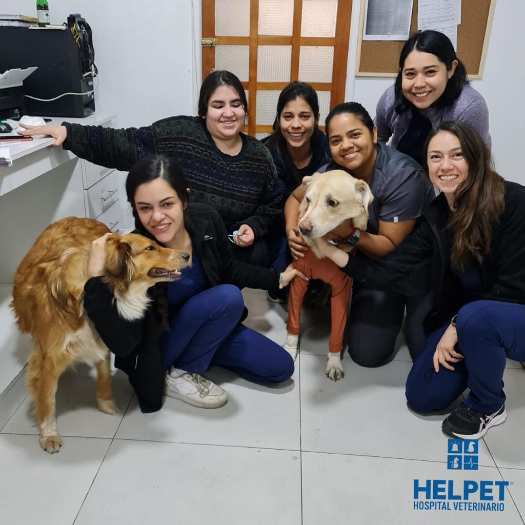 ☺🐕 Qué linda es la amistad y... - Helpet Hospital Veterinario | Facebook