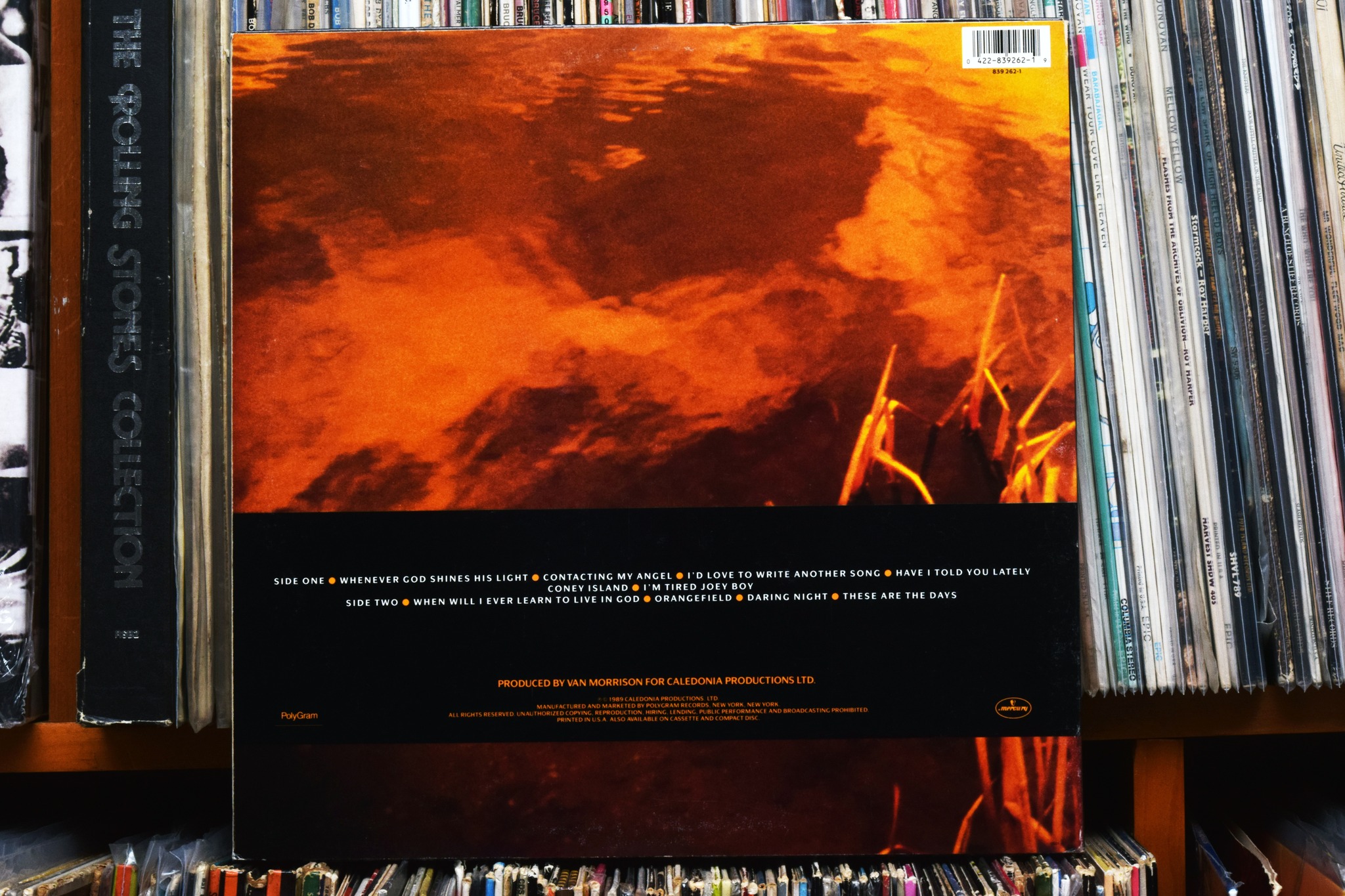 Van Morrison - Avalon Sunset / 1989 CLEO J HVE-7E9