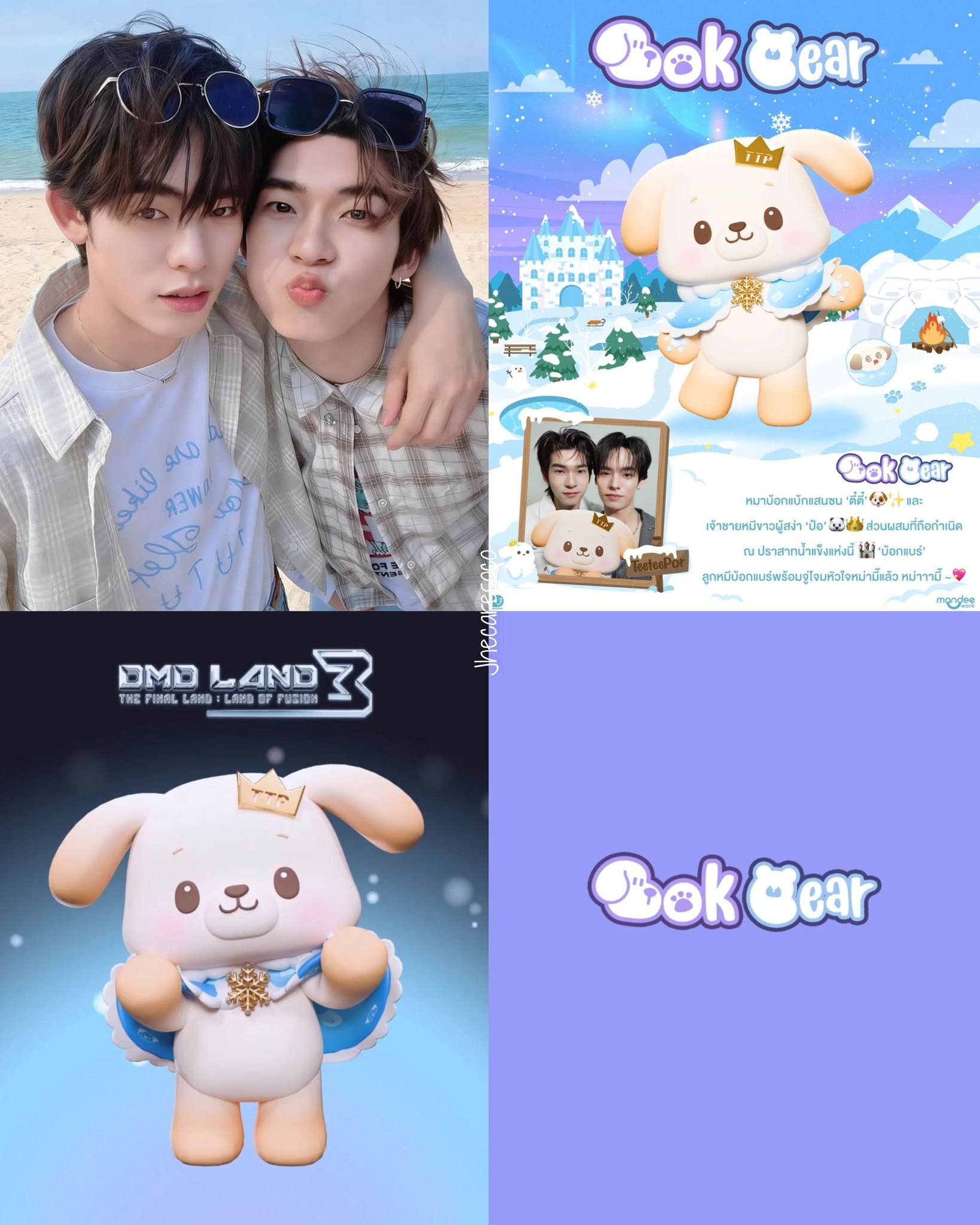Teeteepor's official mascot Bok Bear revealed