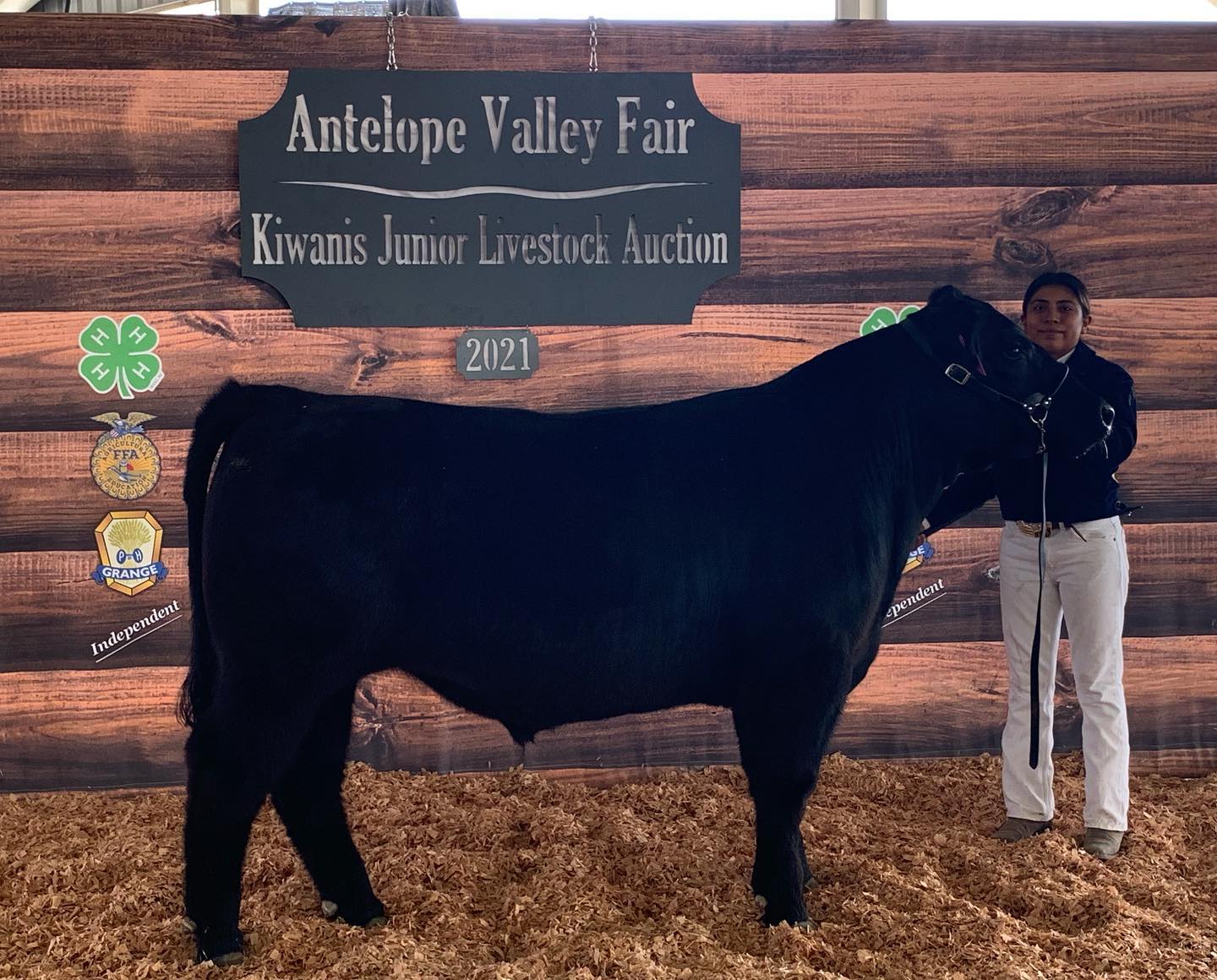 Congrats to these girls on a... - A3 Ranch Club Calves