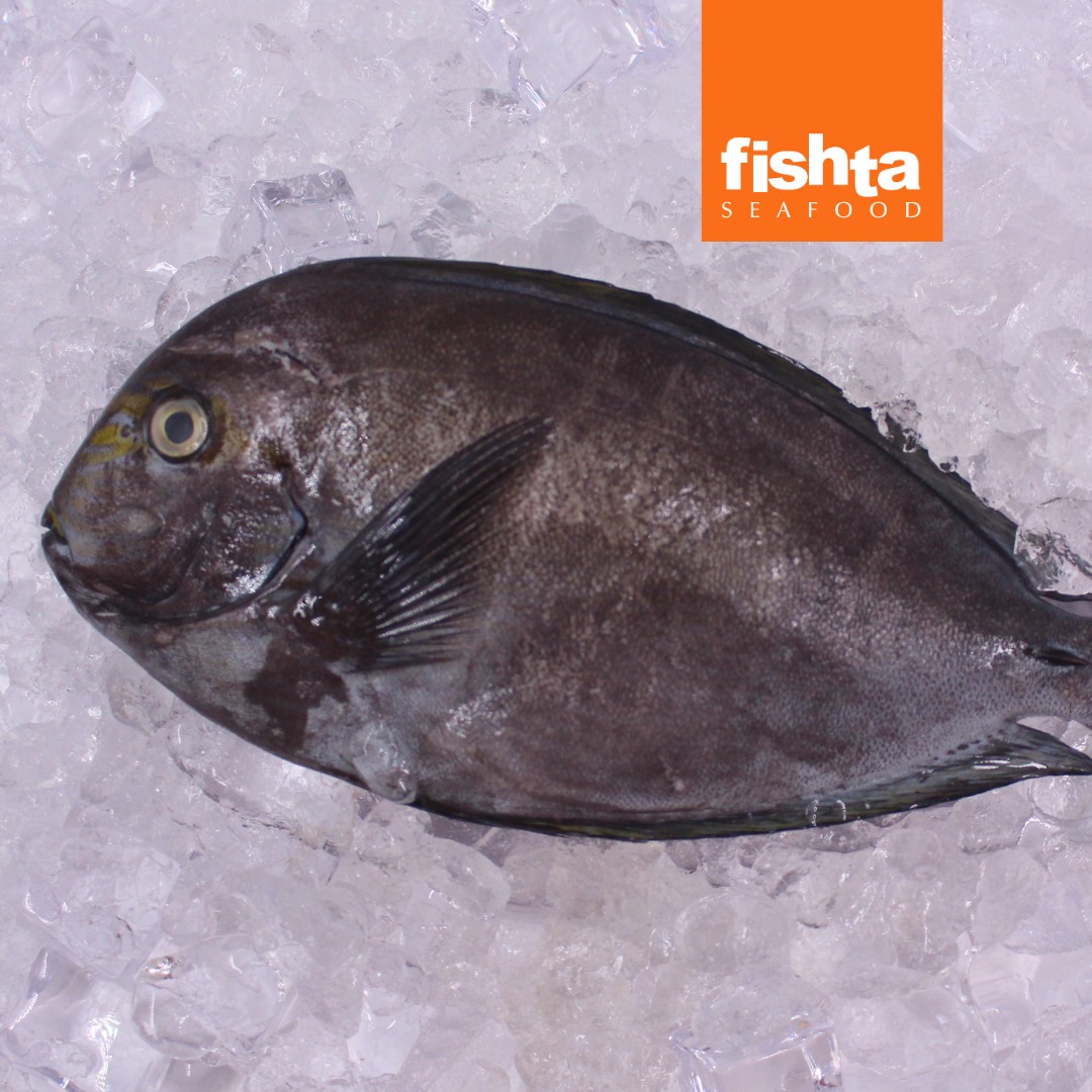 Fishta Seafood - Labahita or surgeonfish is used in...
