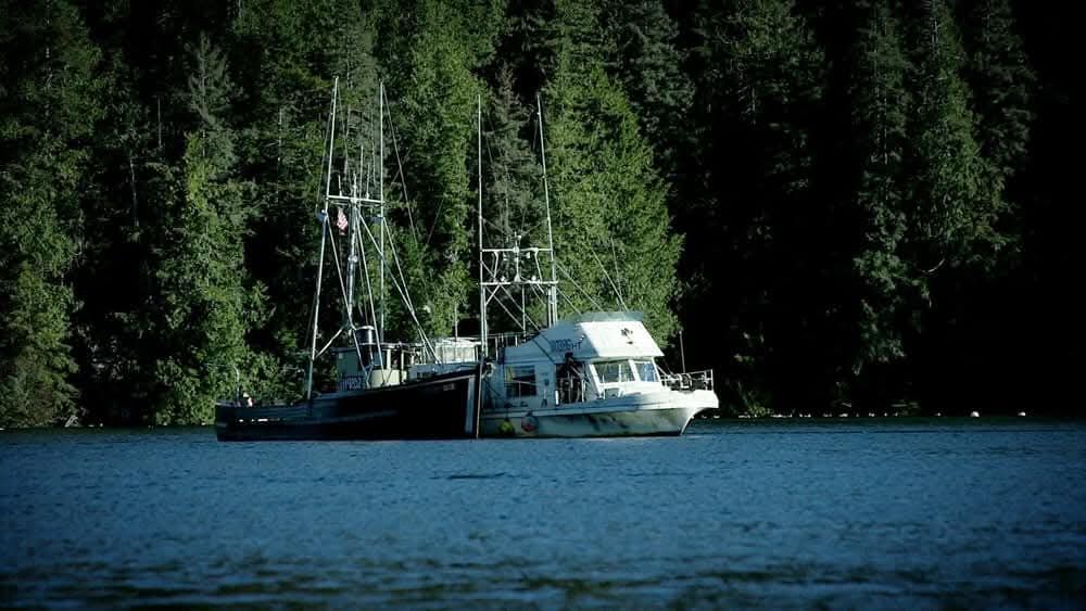 Port protection Alaska club | Facebook