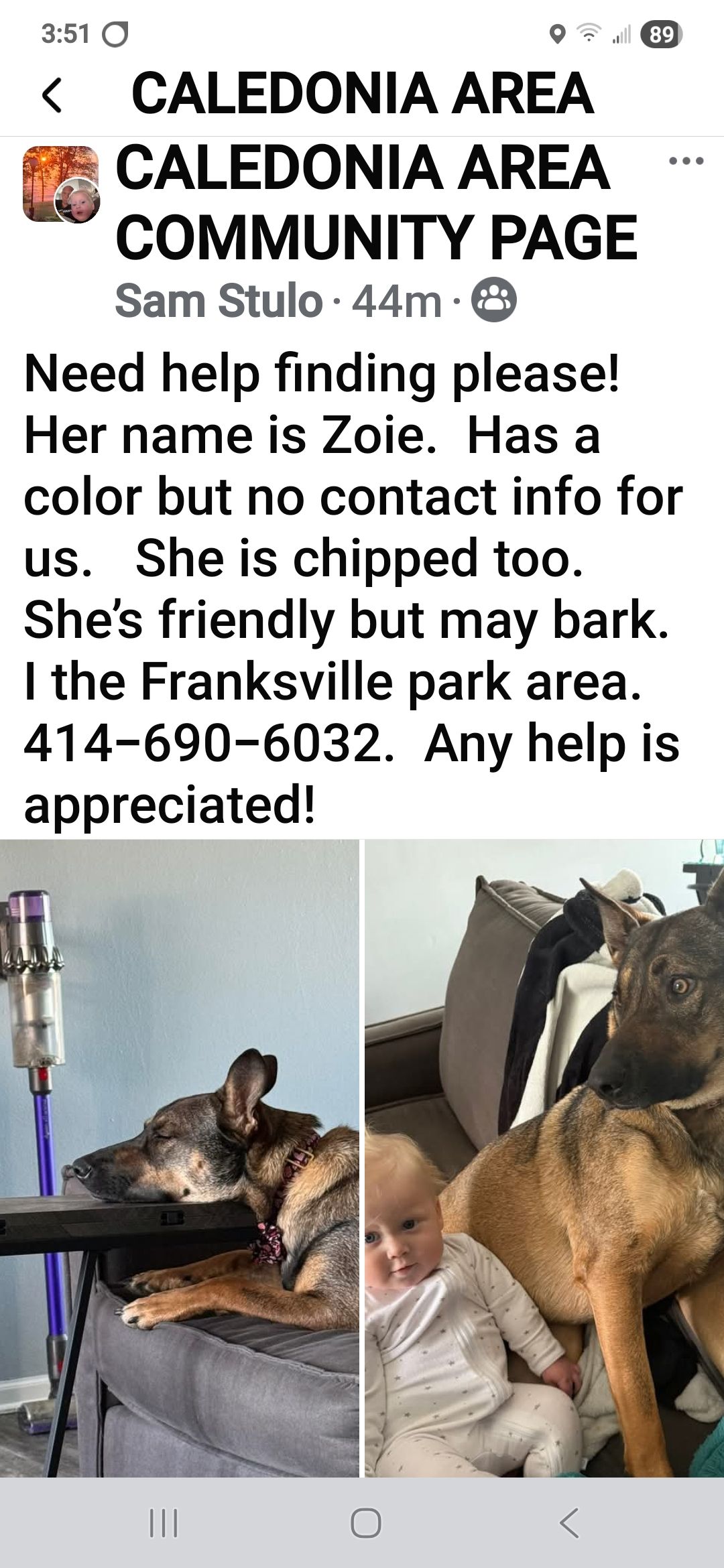 Lost and Found Cats and Dogs Of Racine Wisconsin & Local Surrounding ...