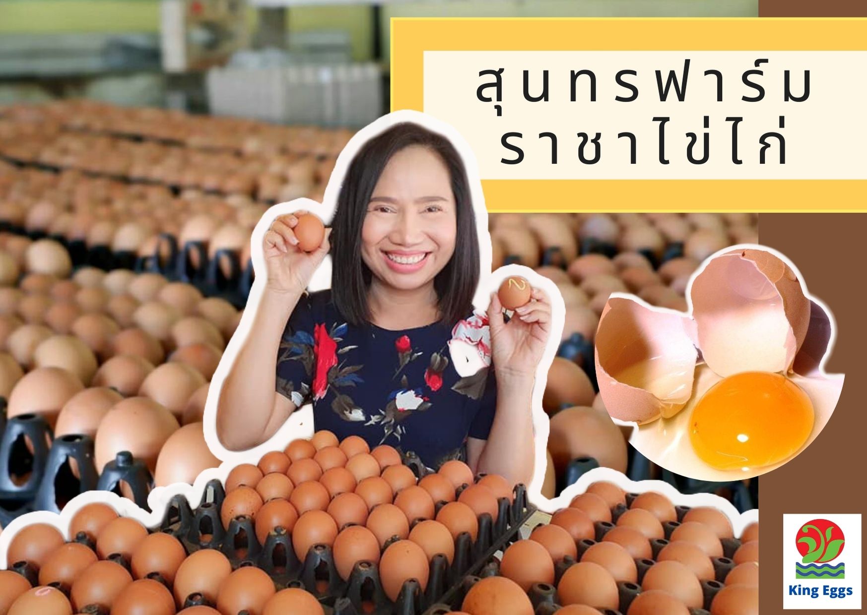 💥สดใหม่ทุกฟอง... - คิงส์ เอ้กส์ - ราชาไข่ไก่ - King Eggs | Facebook