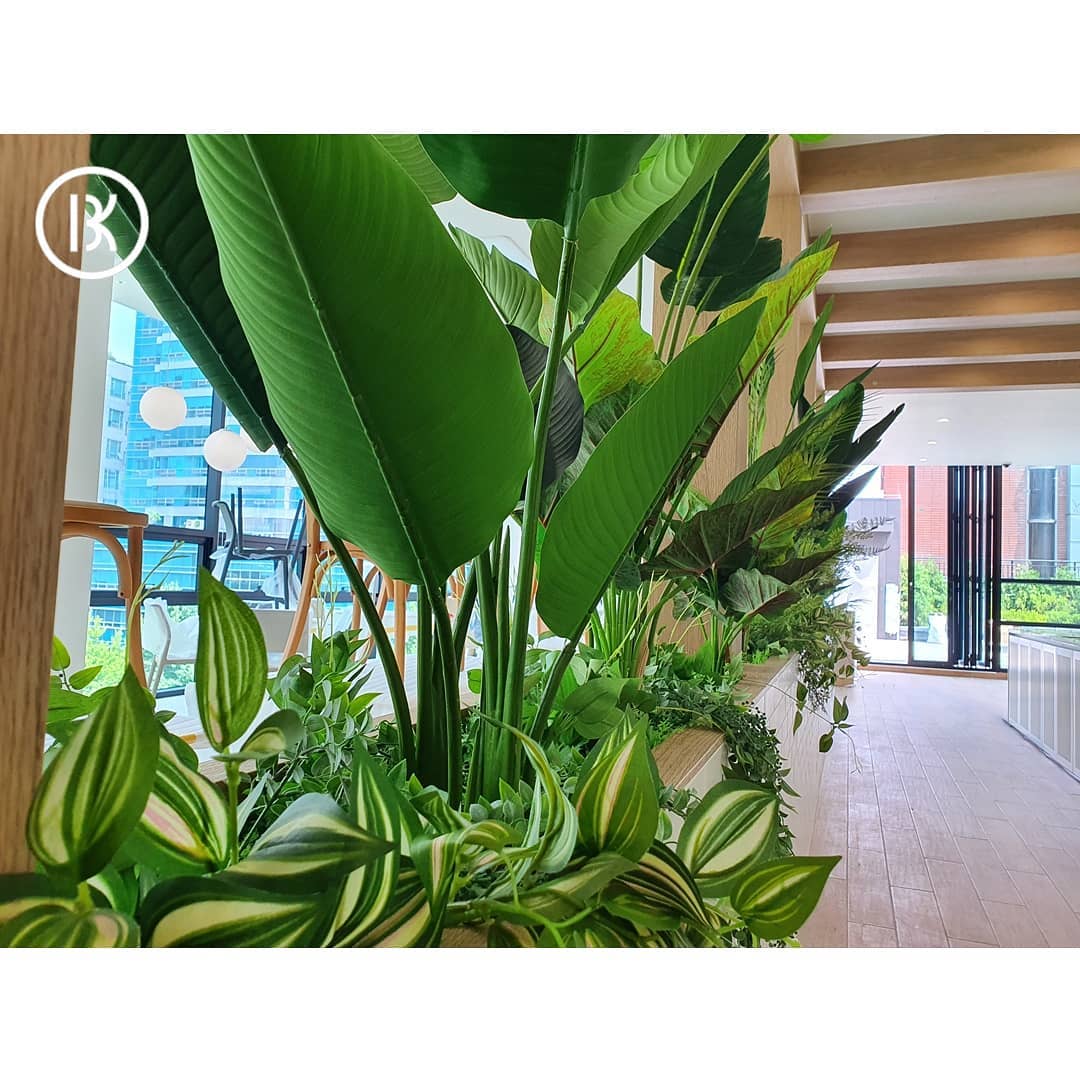 🌿 [식물인테리어] 염창환병원🌿 」 가락동 신사옥에서... - Breath keeper - 브레스키퍼 | Facebook
