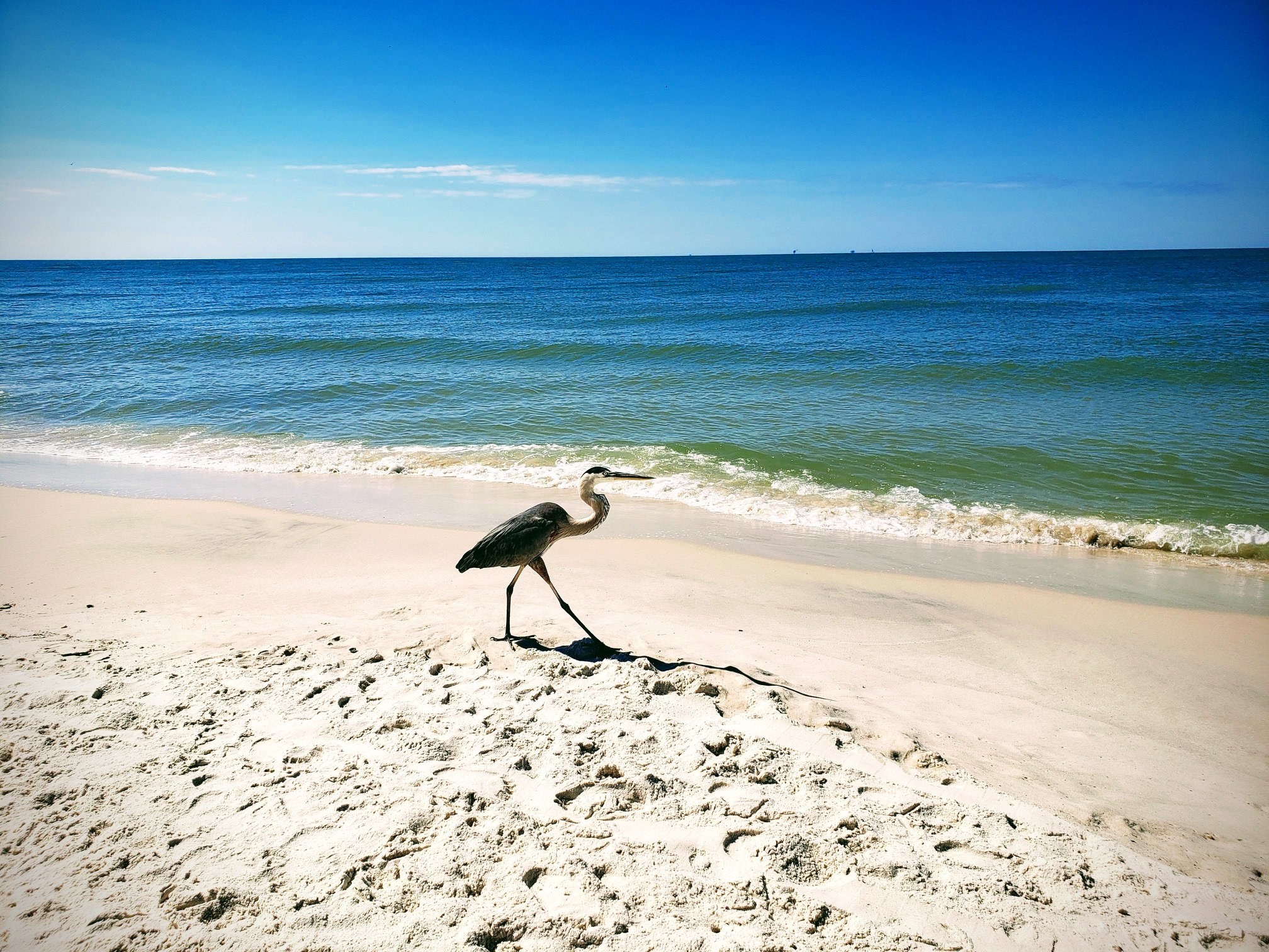 Serenity Sands Beach House | Gulf Shores AL