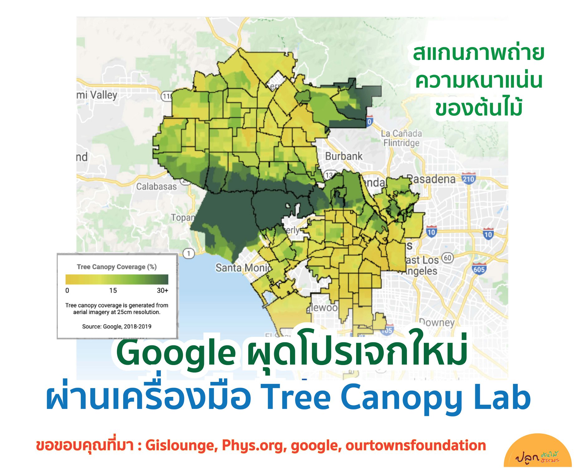 Google เปิดตัว Tree Canopy Lab... - ปลูกต้นไม้ ปลูกธรรมะ