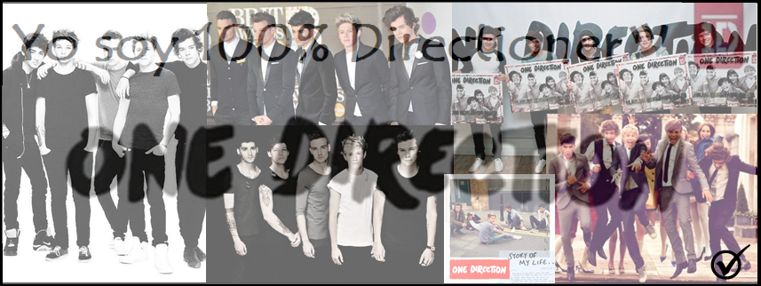 Yo soy 100% directioner ツ