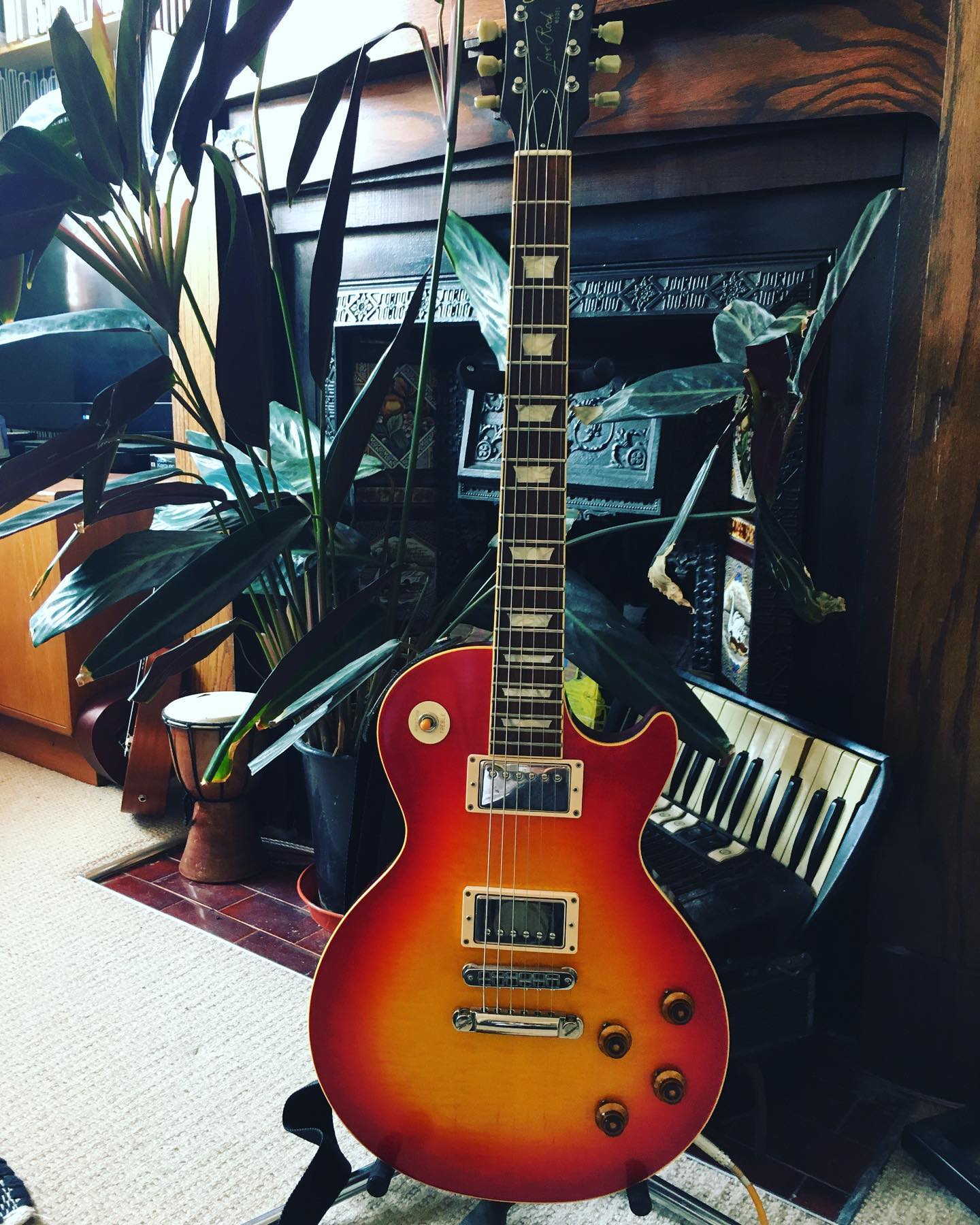 👀 👉 @tokaiguitars Tokai LC136S BB SP, Black Beauty Custom P-90