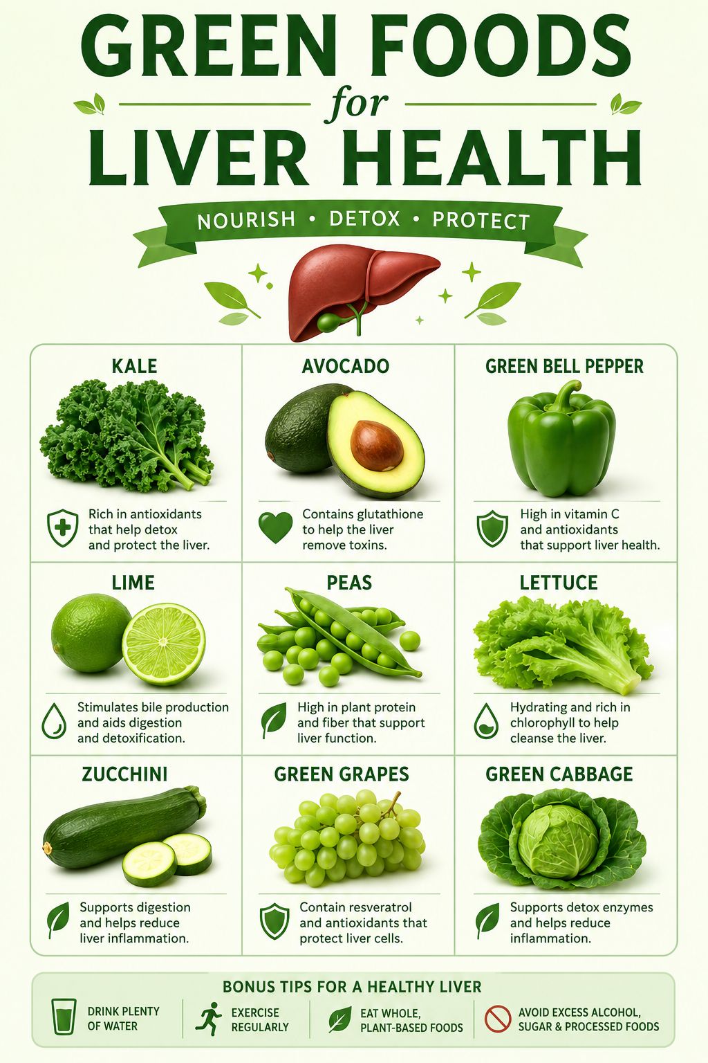 herbs containing glutathione Fuel your liver with the power of greens. Your liver works 24/7 to detox and protect your body—green leafy vegetables help it do that better. Give it the care it deserves with Package (select one):buy 8 boxes-50% off Levothyroxine Interactions: Drugs, Diet, كريم يساعد في شد البشرة حول العين